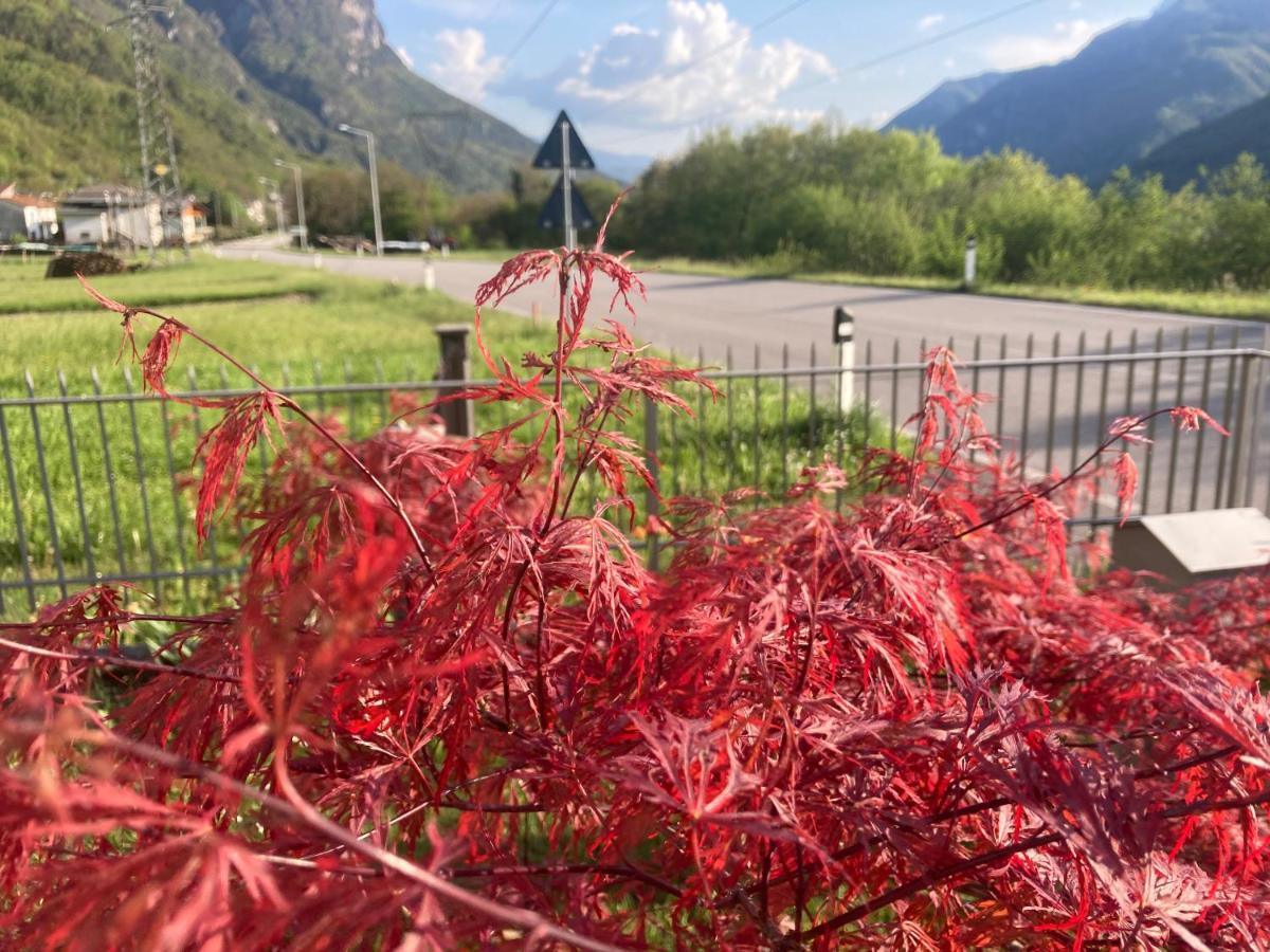 Meraki Dolomiti ลองกาโรเน ภายนอก รูปภาพ